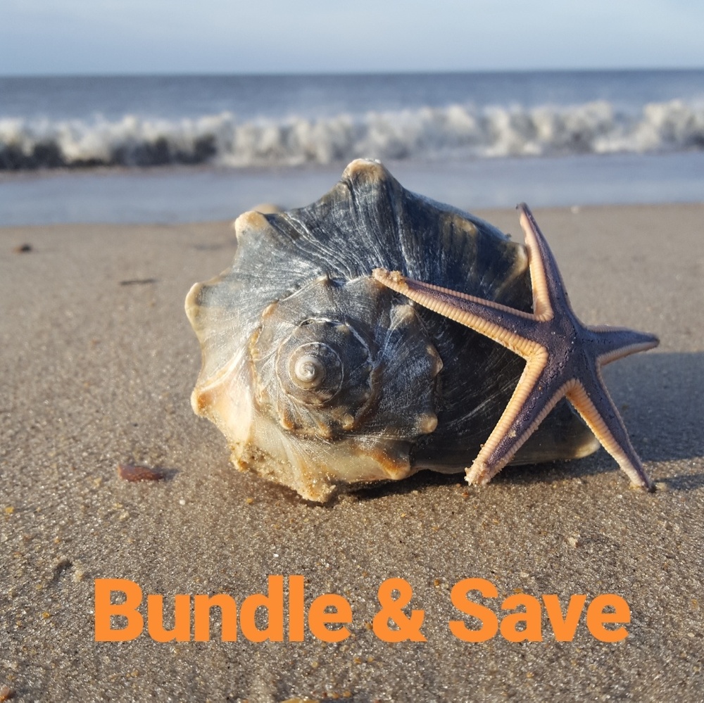 💖25% Off Bundles of 3 or More 🍀💚🐚